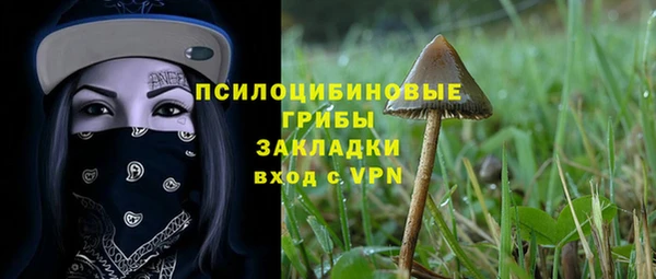 твердый Лагань