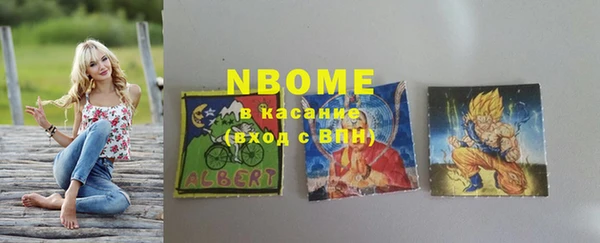 твердый Лагань