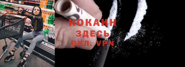 твердый Лагань