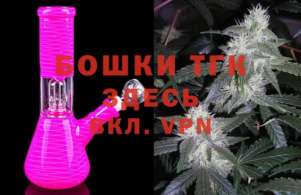 PSILOCYBIN Лиски