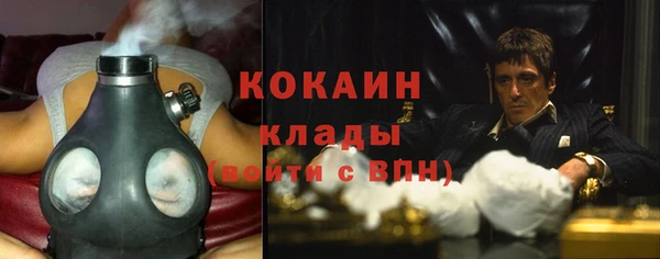 гидра Кукмор
