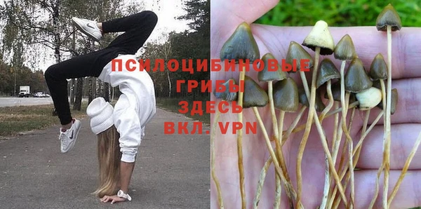 PSILOCYBIN Лиски