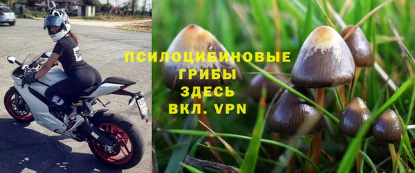 ГАЛЛЮЦИНОГЕННЫЕ ГРИБЫ Лихославль