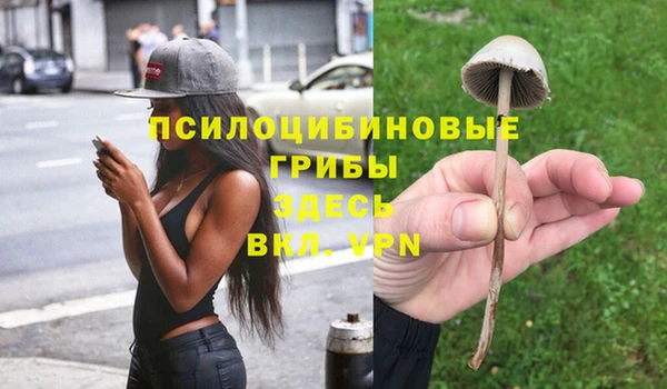 твердый Лагань