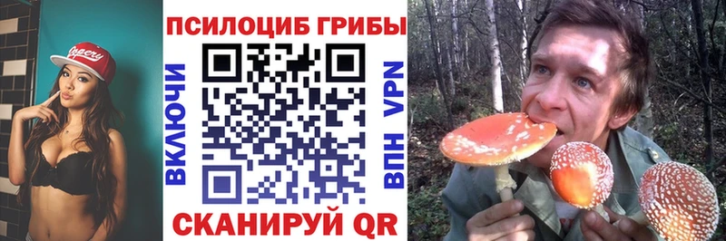 Псилоцибиновые грибы мицелий  Тында 