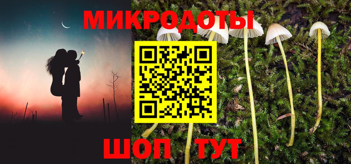 Псилоцибиновые грибы мухоморы  Тында 