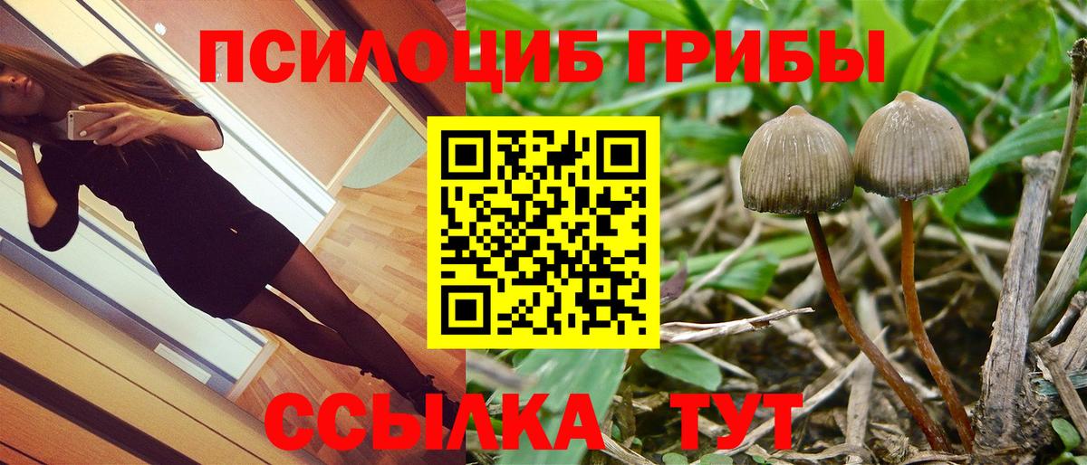 Псилоцибиновые грибы Magic Shrooms Тында
