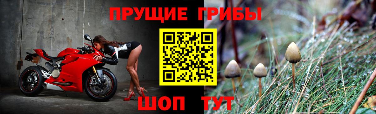 цены наркотик  Вход с VPN  Галлюциногенные грибы Magic Shrooms  Тында  Псилоцибиновые грибы MAGIC MUSHROOMS 