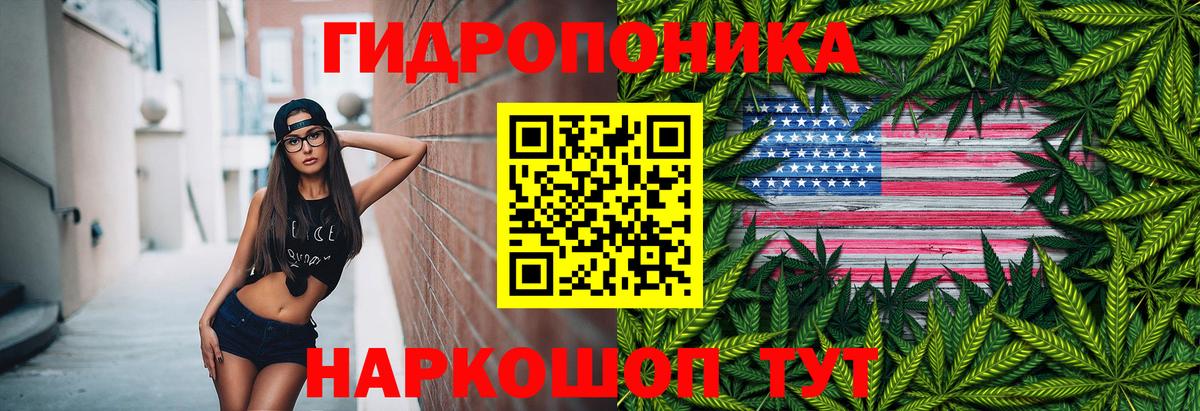 Бошки марихуана THC 21% Тында